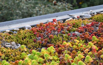 the cost of Pytchley green roof installation