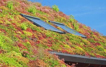 Pytchley living roof systems