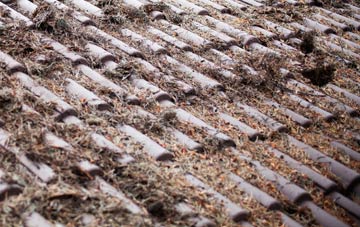 Pytchley roof cleaning companies