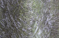 Pytchley fibreglass roof work